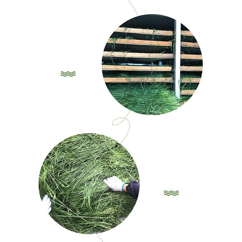 Dried Timothy FCL Hay Snacks Feed Chinchilla Guinea Pig Food Rabbits