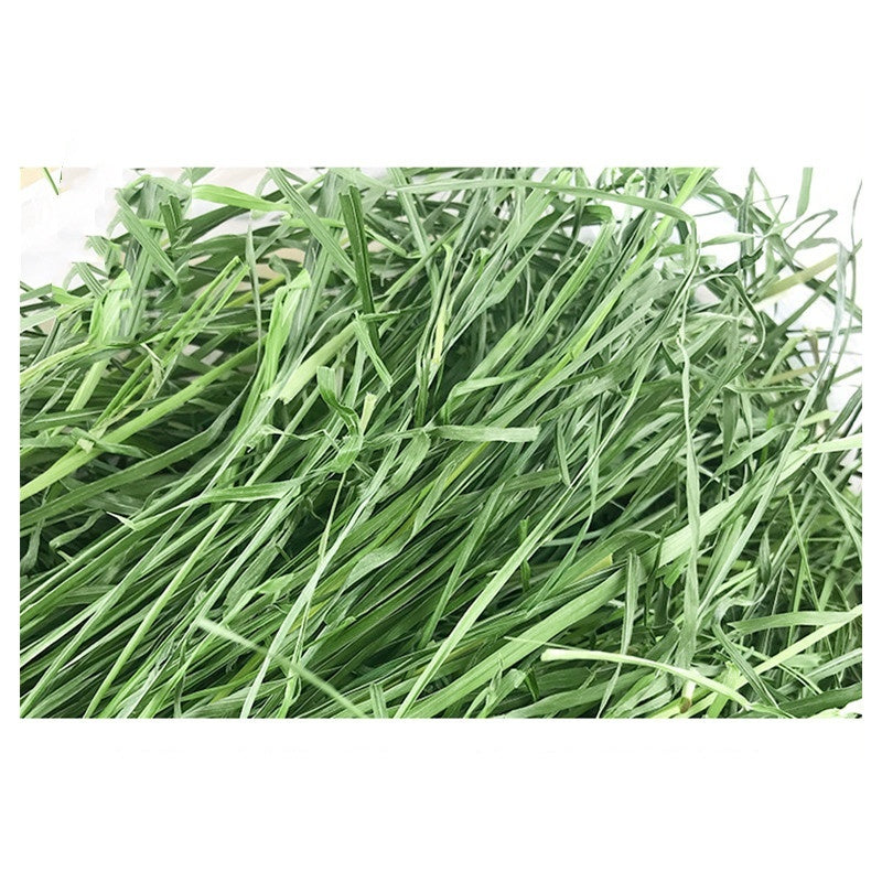 Dried Timothy FCL Hay Snacks Feed Chinchilla Guinea Pig Food Rabbits