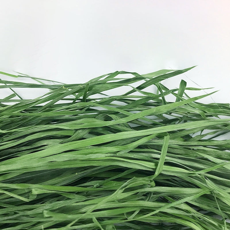 Dried Timothy FCL Hay Snacks Feed Chinchilla Guinea Pig Food Rabbits