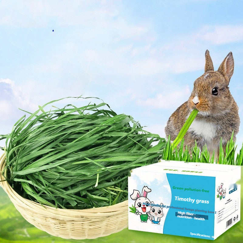 Dried Timothy FCL Hay Snacks Feed Chinchilla Guinea Pig Food Rabbits